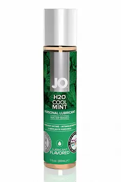 Съедобный лубрикант Мята JO H2O Cool Mint Flavored