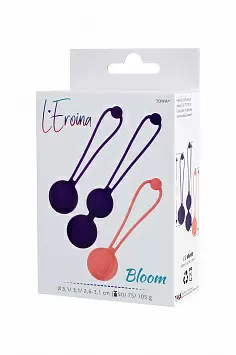 Набор вагинальных шариков Bloom